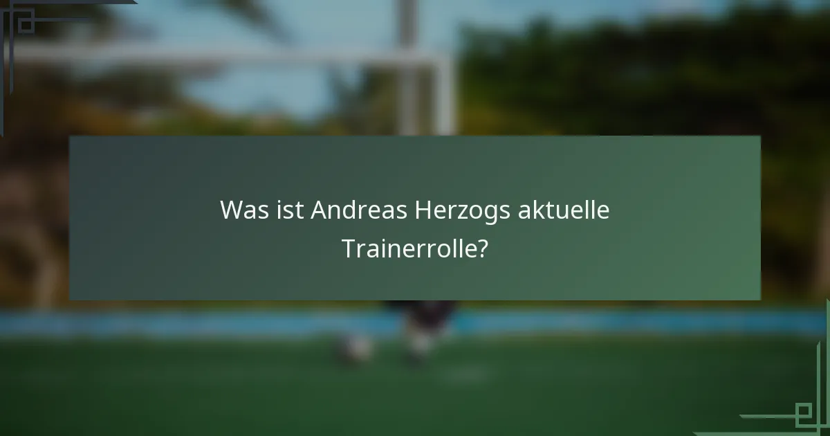 Was ist Andreas Herzogs aktuelle Trainerrolle?